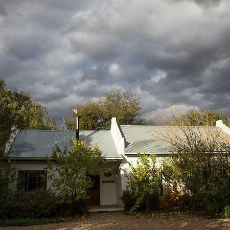 The Olive Thrush Cottage Prince Albert Exteriér fotografie