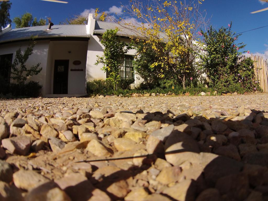 The Olive Thrush Cottage Prince Albert Exteriér fotografie