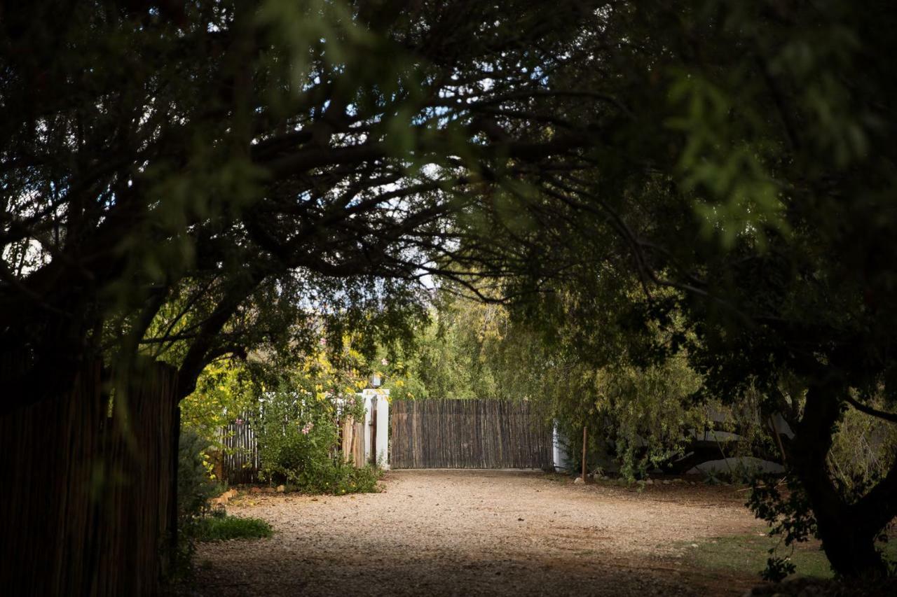 The Olive Thrush Cottage Prince Albert Exteriér fotografie